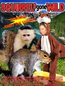 squirrels gone wild